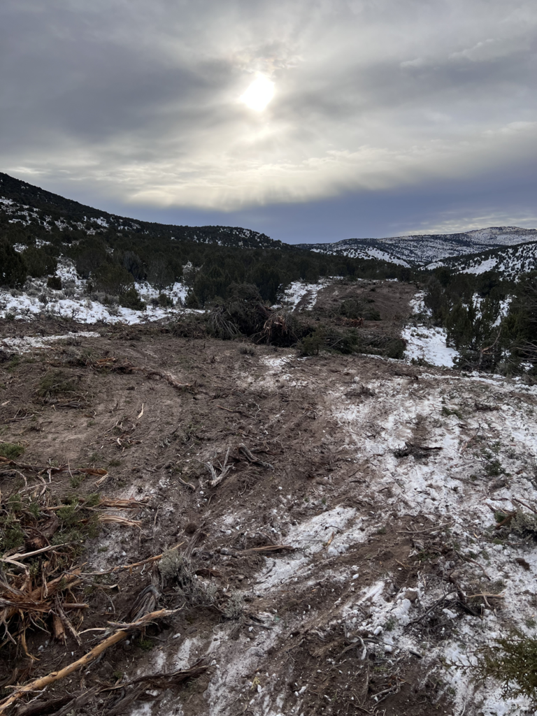 lot & land clearing Utah